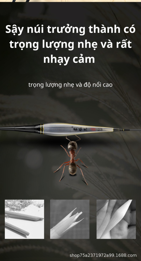 ​PHAO SẬY SIÊU NHẠY MONTANI CAO CẤP - ĐỈNH CAO CỦA SỰ NHẠY BÉN CÂU CÁ - Ảnh 4