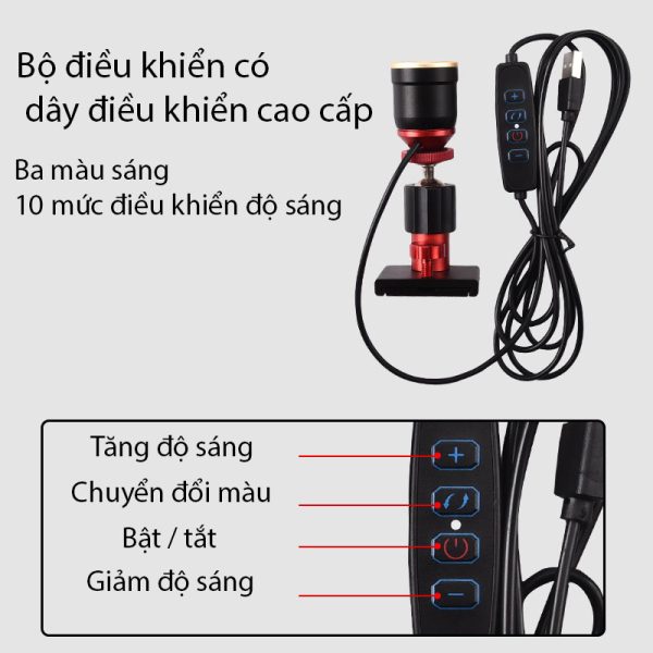 Bộ Đèn Soi Phao Câu Đêm - Ảnh 9